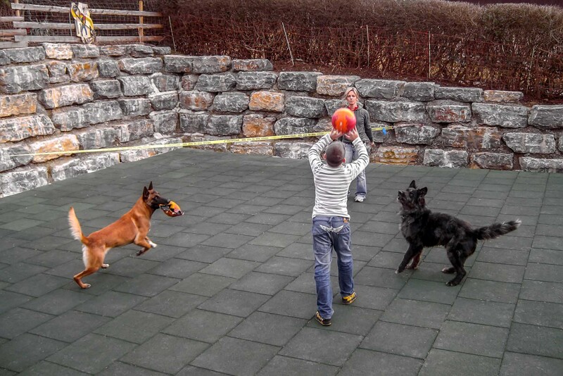 Een speelterras van groene WARCO rubbergranulaat hondenmatten is ingebouwd in een helling. De helling wordt ondersteund door grote natuurstenen blokken. Op het speelterras spelen 2 mensen en 2 honden met een bal.