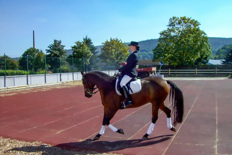 Buitenrijbak met WARCO paddockmatten als ondergrond waarop een dressuurruiter haar paard traint.