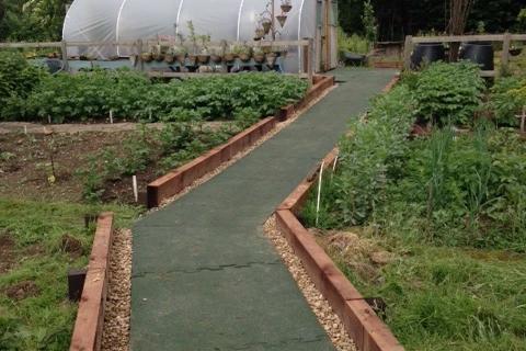 Een trap in de tuin, vriendelijk vormgegeven met WARCO trapbekleding in het kleurendesign Rattan Lounge, wordt omzoomd door weelderig bloeiende potplanten.