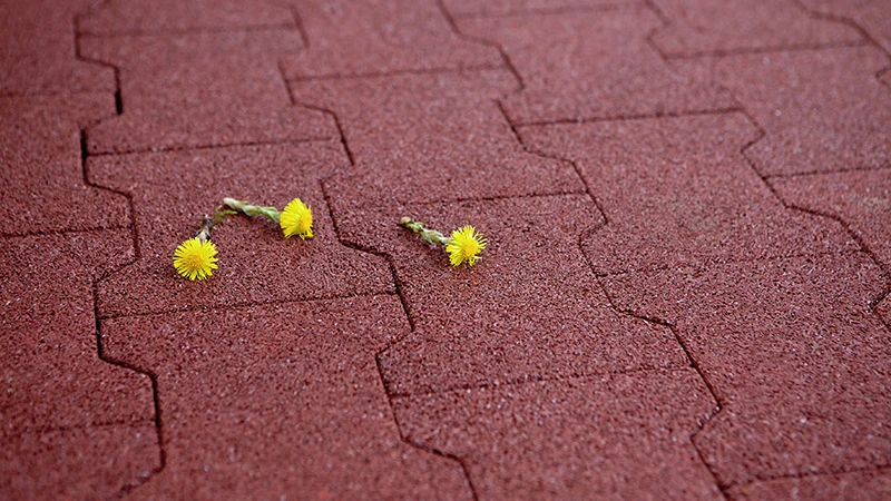 De foto toont een close-up van rode rubberen bestrating in dubbel-T-formaat. Twee kleine gele bloemen liggen losjes op het oppervlak en benadrukken de structuur en kleur van het materiaal. Het elastische oppervlak van PU-gebonden rubbergranulaat is fijnporig, waterdoorlatend en vrijwel naadloos gelegd. De opname onderstreept het rustige, natuurlijke karakter en de materiaaldetails.