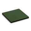 Vloer voor hondenren von WARCO im Farbdesign Grasgroen mit den Abmessungen 50 x 50 x 4 cm | 0,25 m². Produktfoto von Artikel 7078 in der Aufsicht von schräg vorne.