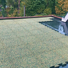 Grijsgroene platen worden gelegd een op een plat dak. Het werk is nog niet klaar. De ondergrond is nat en het uitzicht valt op aangrenzende loofbomen.