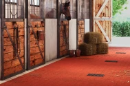 Paardenhouderij